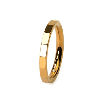 Elegant geslepen titanium ring