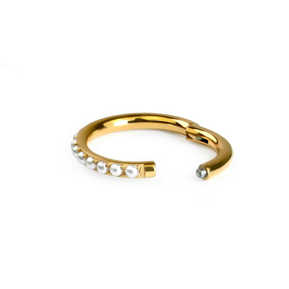 Titanium ring met scharnier met pave parels