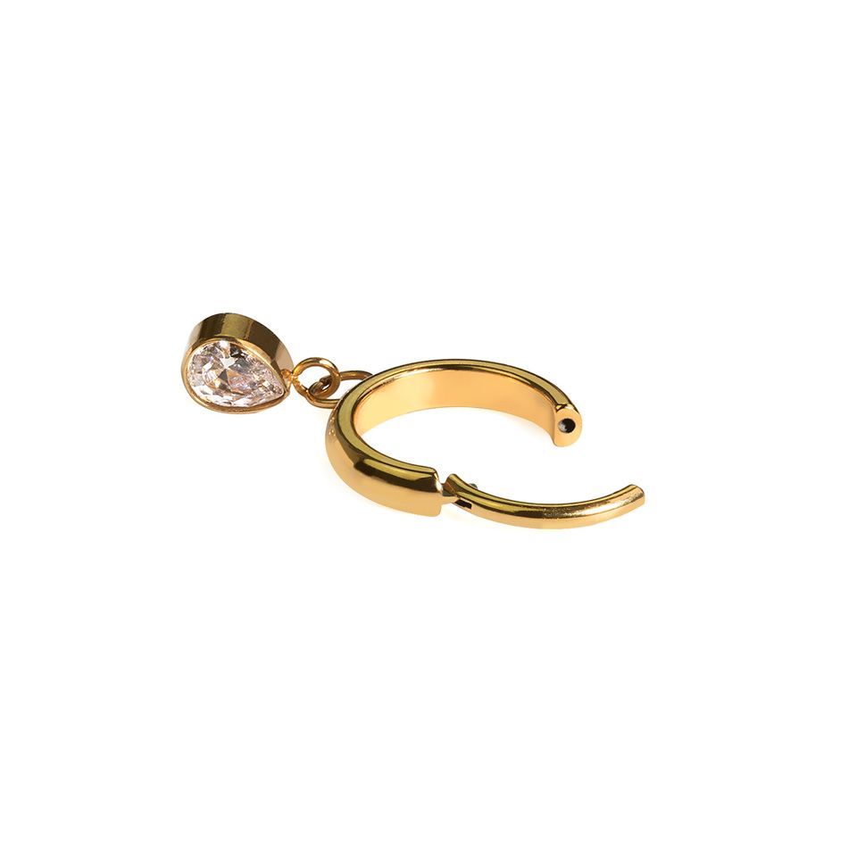 Titanium ring met traanvormige bedel