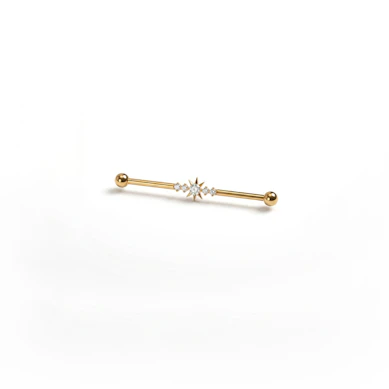 Titanium industrial barbell met centrale ster en steentjes