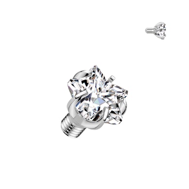 Titanium dermal top met ster