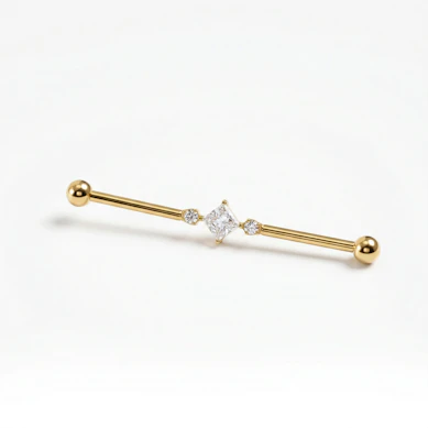 Titanium industrial barbell met vierkante centrale steen