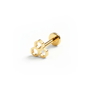 Honingraat-labret van titanium