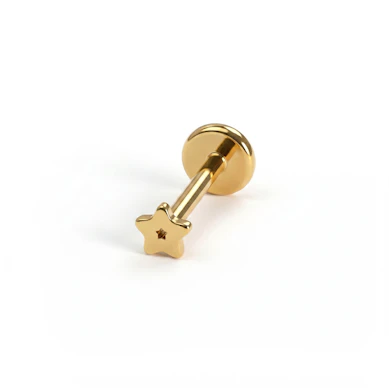 Mini sterlabret van titanium