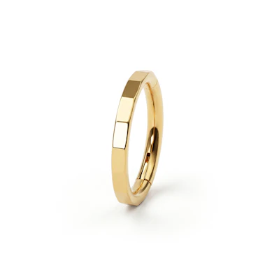 Elegant geslepen titanium ring