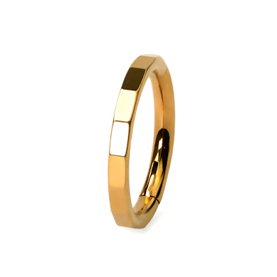 Elegant geslepen titanium ring