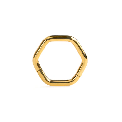 Zeshoekige titanium scharnierring