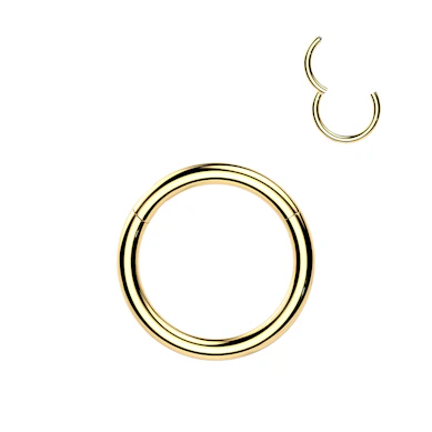 24k vergulde titanium scharnierring