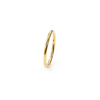24k vergulde titanium scharnierring