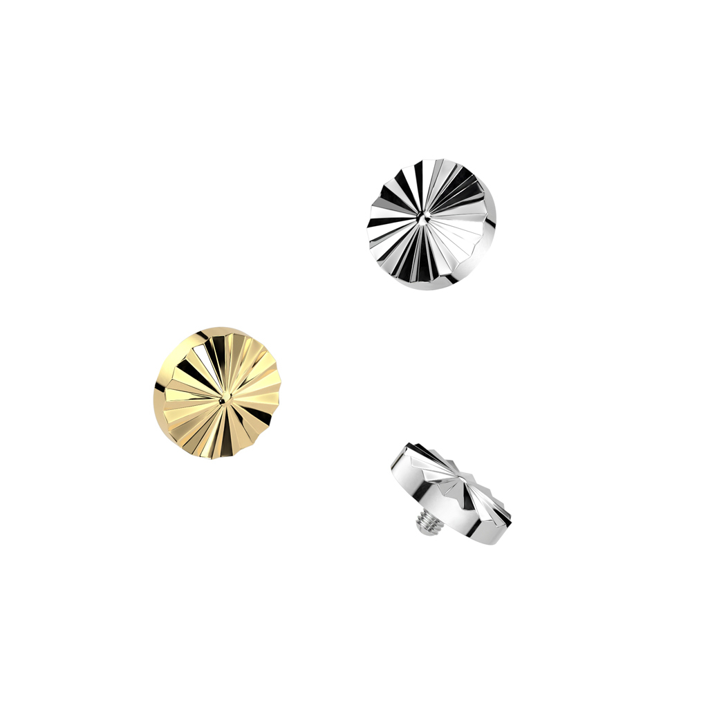 Diamantgeslepen dermal top van titanium