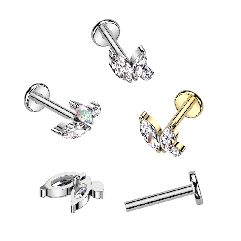Subtiele labret van titanium met interne schroefdraad