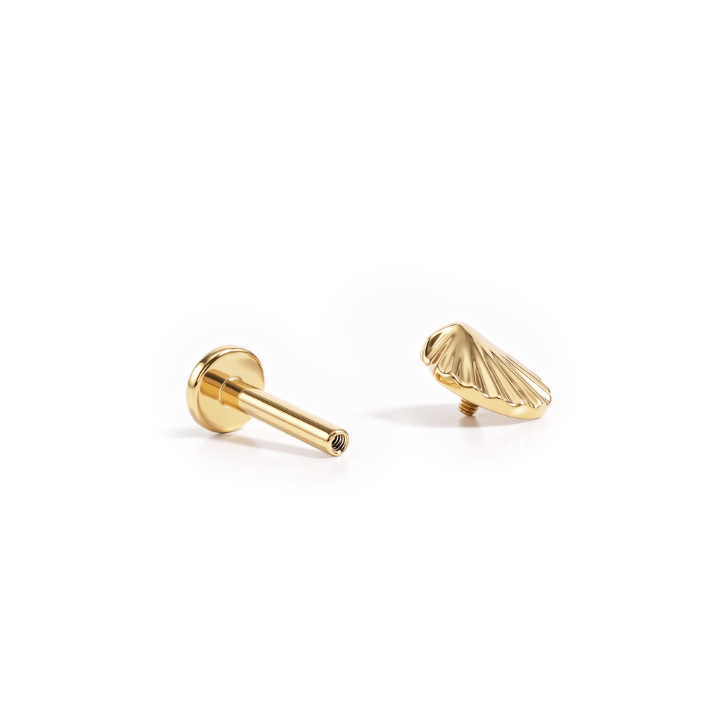 Titanium labret met schelp