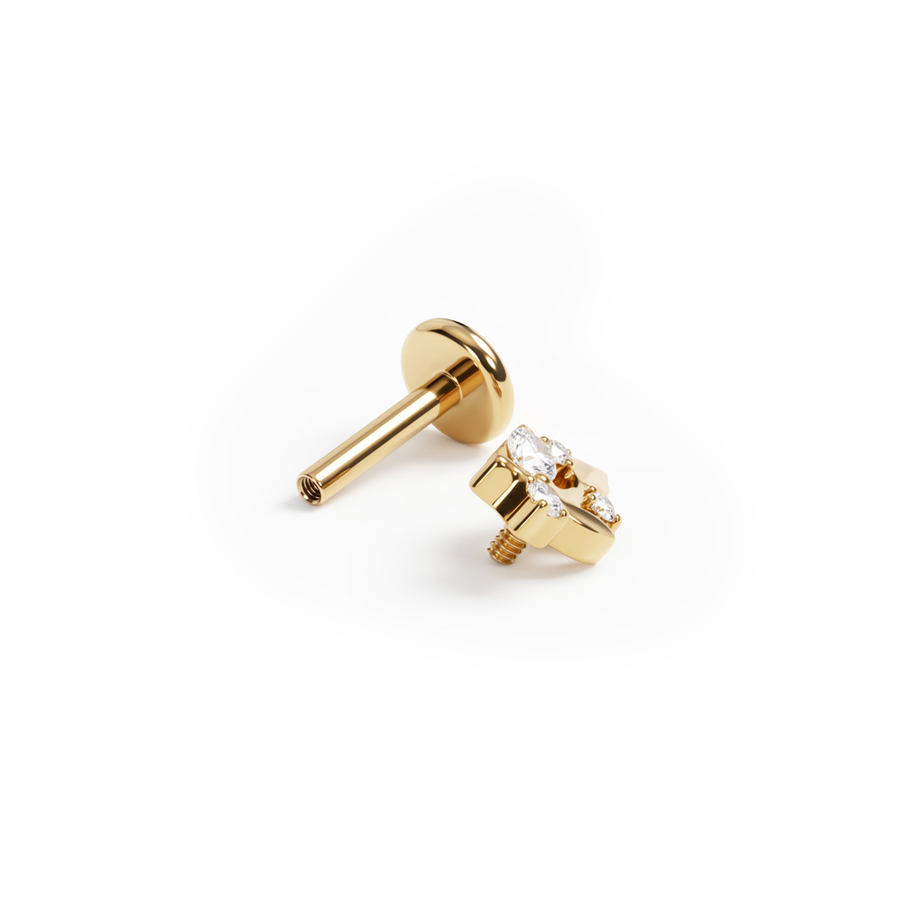 Titanium labret met blaadjes en steentjes