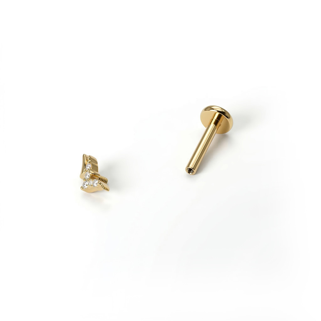 Titanium vogels labret