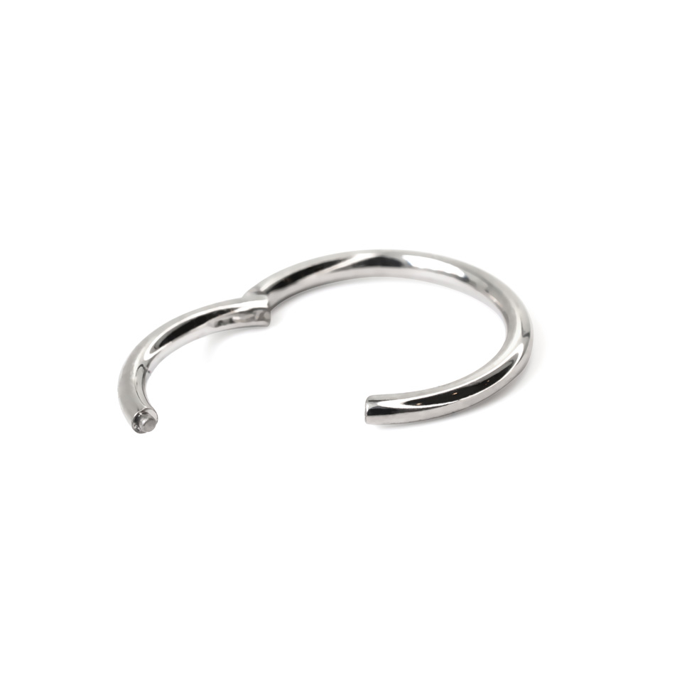 Segment ring van titanium met scharniersluiting