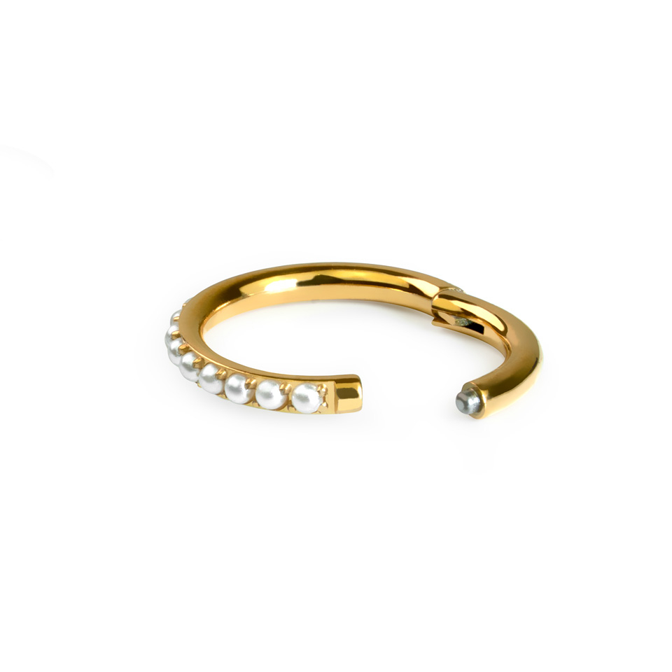 Titanium ring met scharnier met pave parels