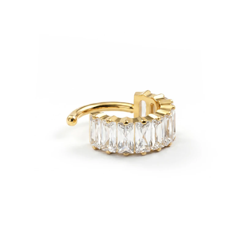 Titanium ring met opvallende baguette stenen