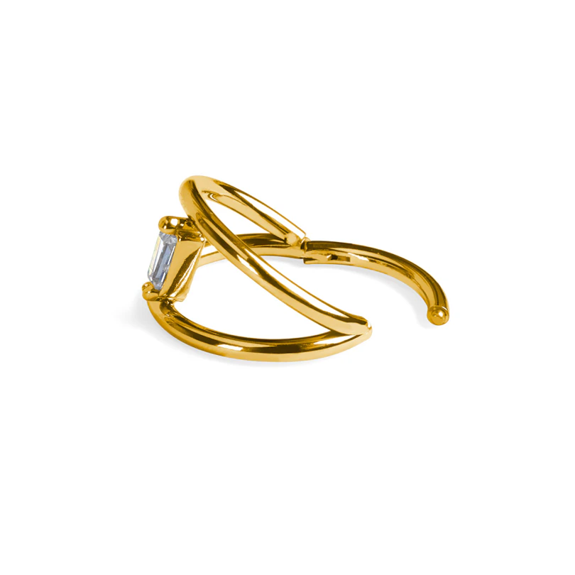 Titanium dubbele ring met verbindende steen