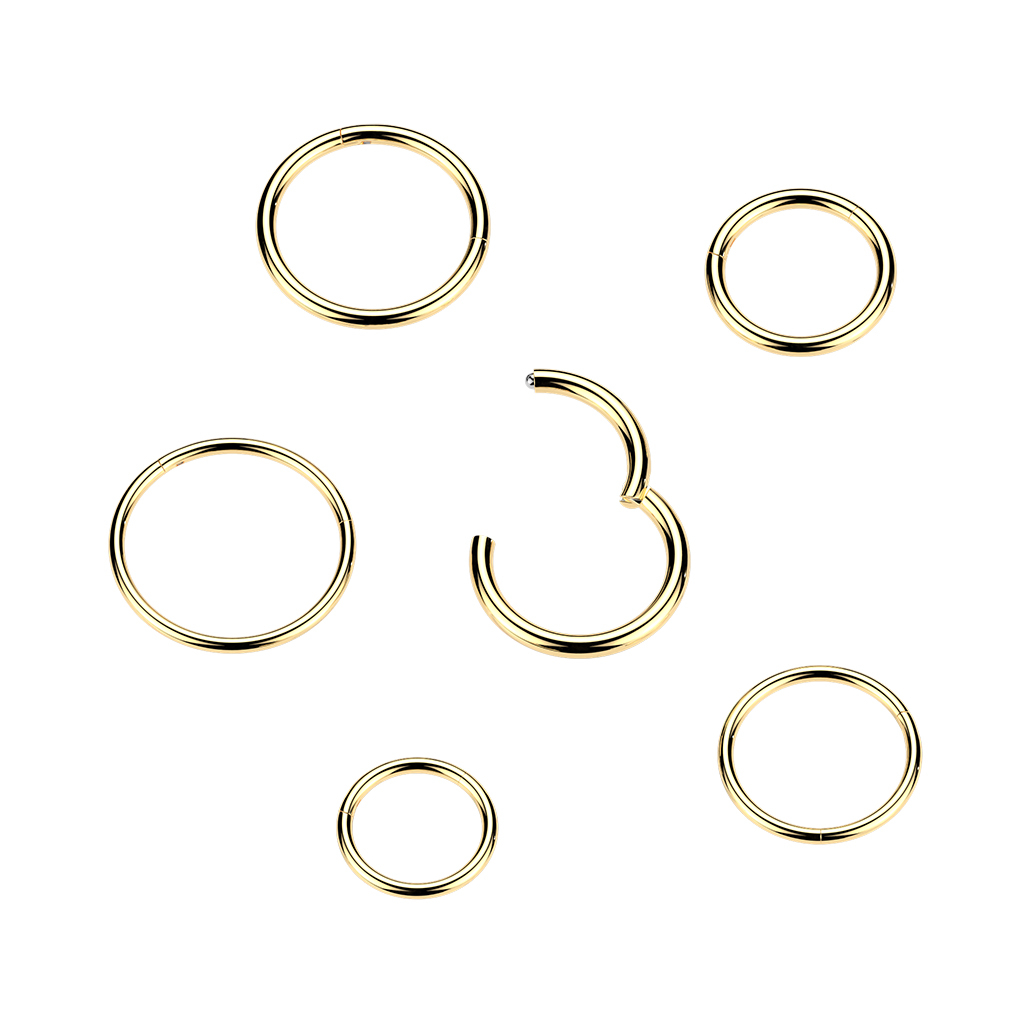 24k vergulde titanium scharnierring